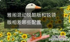 雅阁混动锐酷版和锐领版相差哪些配置