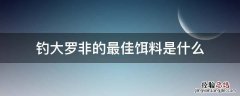 钓大罗非的最佳饵料是什么