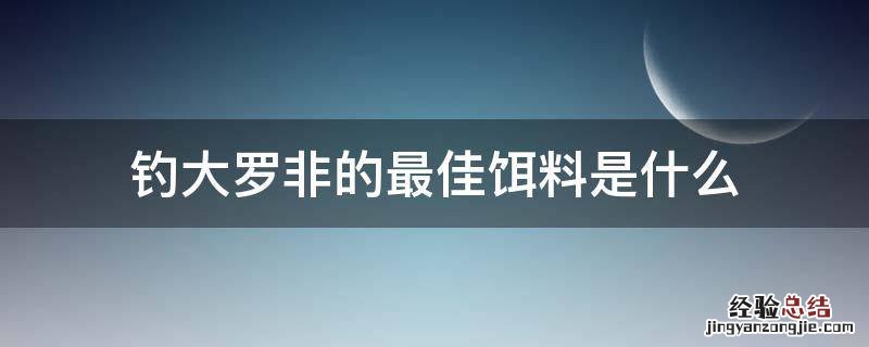 钓大罗非的最佳饵料是什么