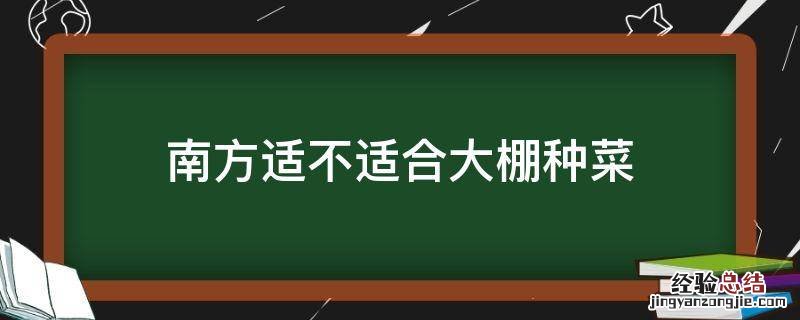 南方适不适合大棚种菜