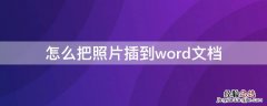 怎么把照片插到word文档