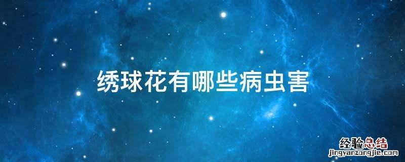 绣球花有哪些病虫害