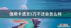 信用卡透支5万不还会怎么样