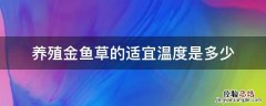 养殖金鱼草的适宜温度是多少