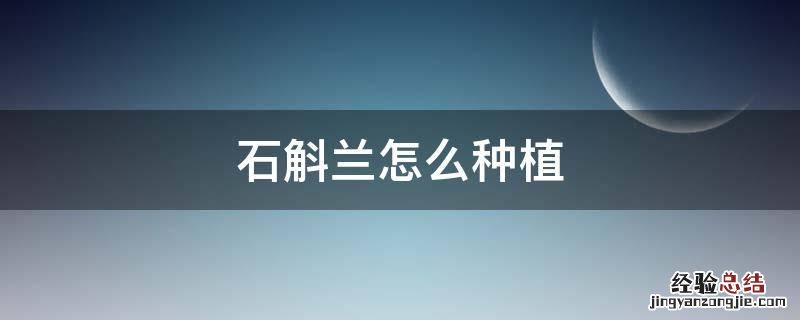 石斛兰怎么种植