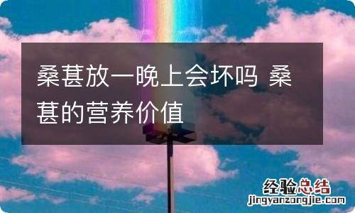 桑葚放一晚上会坏吗 桑葚的营养价值