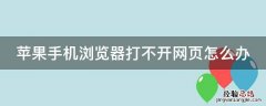 苹果手机浏览器打不开网页怎么办