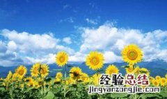 夏天千万别做这8件事英语 夏天千万别做这8件事