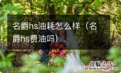 名爵hs费油吗 名爵hs油耗怎么样