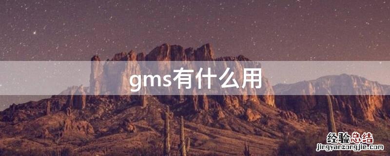 gms有什么用