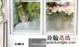鲜花保鲜柜风冷好还是直冷好 鲜花保鲜柜风冷直冷哪个好