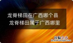 龙脊梯田在广西哪个县 龙脊梯田属于广西哪里