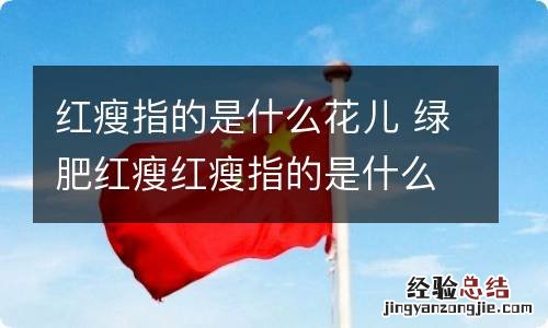 红瘦指的是什么花儿 绿肥红瘦红瘦指的是什么花儿