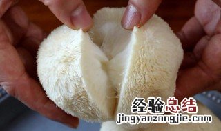 猴头菇怎么清洗 怎么清洗猴头菇