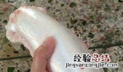 鲜鱼鳔如何食用 新鲜鱼鳔食用方法