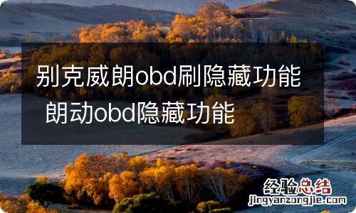 别克威朗obd刷隐藏功能 朗动obd隐藏功能