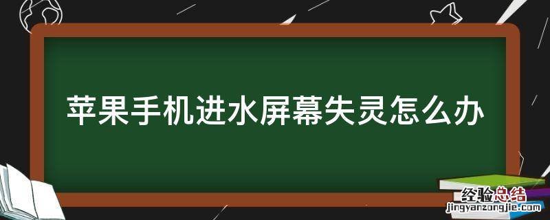 苹果手机进水屏幕失灵怎么办