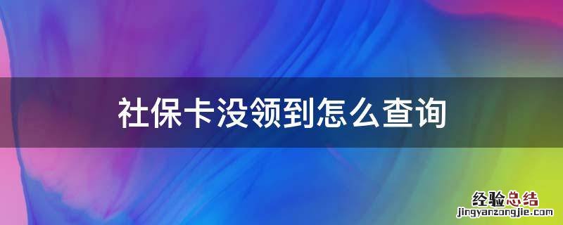 社保卡没领到怎么查询