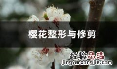 樱花树的修剪方法 樱花树整形与修剪