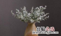 绿植绒养护方法 lv 植绒