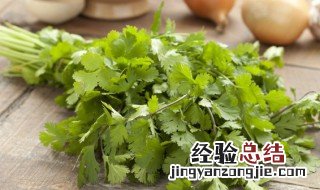 香菜保鲜窍门 香菜保鲜窍门有什么