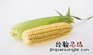 鲜玉米粒保鲜小窍门 鲜玉米保鲜方法