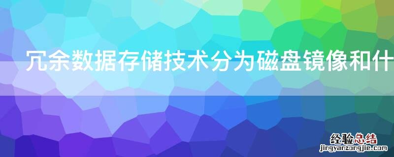 冗余数据存储技术分为磁盘镜像和什么