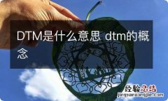 DTM是什么意思 dtm的概念