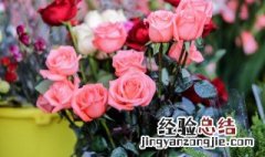 鲜花保鲜剂什么时候放 鲜花放保鲜剂几天换水