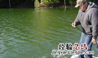 秋季钓鱼的技巧和方法 秋季钓鱼的技巧介绍
