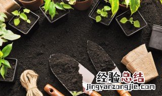 误打除草剂怎么补救 怎么补救误打除草剂