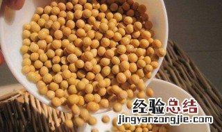 大豆养殖方法 大豆的种植方法介绍