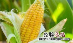 甜糯玉米用什么除草剂 甜糯玉米可以用什么除草剂