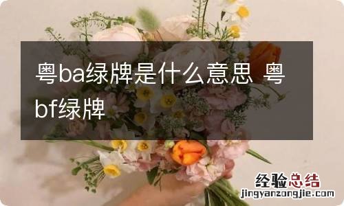 粤ba绿牌是什么意思 粤bf绿牌