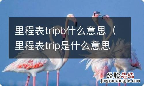 里程表trip是什么意思 里程表tripb什么意思