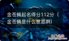 金苍蝇是什么意思啊 金苍蝇起名得分112分