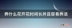 养什么花开花时间长并且容易养活