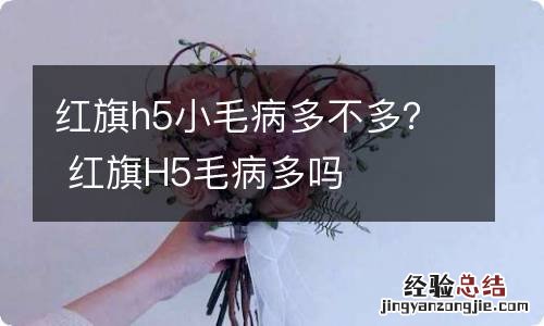 红旗h5小毛病多不多？ 红旗H5毛病多吗