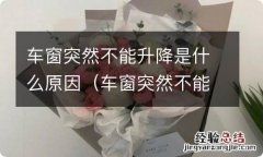 车窗突然不能升降是什么原因引起的 车窗突然不能升降是什么原因