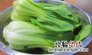 油菜怎么保鲜 油菜保鲜保存方法介绍