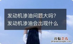 发动机渗油问题大吗? 发动机渗油会出现什么状况和后果