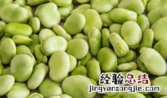 新鲜蚕豆怎么保存好 新鲜蚕豆的保存方法.