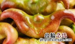 生菱角怎么保鲜 生菱角的保存方法