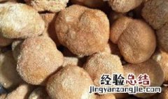 干猴头菇怎么泡发最好 干猴头菇怎样泡发比较好