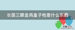 长苗三眼金鸡盒子枪是什么东西