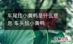 车尾挂小黄鸭是什么意思 车头放小黄鸭