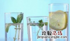 苏打水哪个牌子比较好 苏打水和矿泉水有什么区别