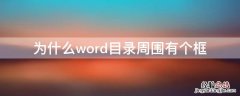 为什么word目录周围有个框