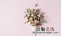 假花可以摆放在客厅吗 假花能不能摆在客厅