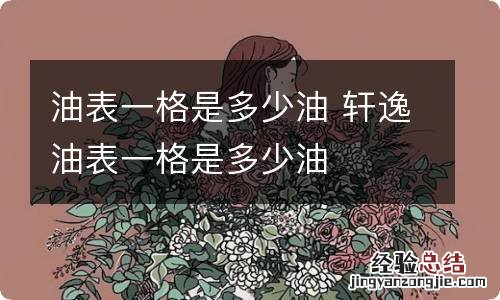 油表一格是多少油 轩逸油表一格是多少油